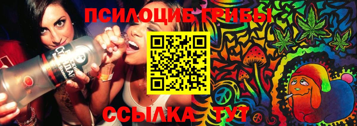 Псилоцибиновые грибы MAGIC MUSHROOMS Вичуга