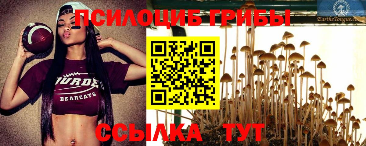 Псилоцибиновые грибы прущие грибы  купить  сайты  Псилоцибиновые грибы Psilocybine cubensis  Вичуга  Вход с VPN 